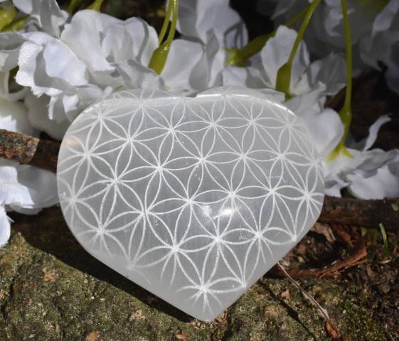 Coeur selenite